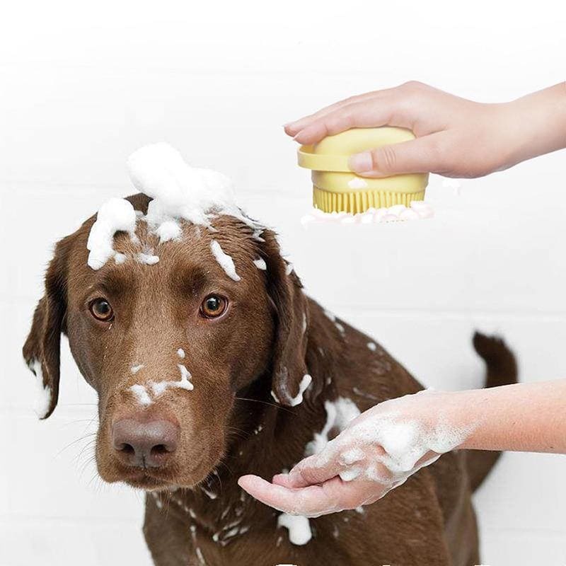 Teste Escova de Banho Massageadora para Pets Essencial - ÚLTIMAS UNIDADES 🔥